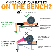 The bc strength glute bench comes in 2 sizes and is suitable for a wide range of exercises, including a quick and easy option for hip thrusts, step ups and jumping movements. Glutes Leaving The Bench During The Bench Press Is A Common Sight At The Gym A Lot Of People Tend To Do This Since It Makes Th Gym Tips Workout
