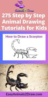 Learn How To Draw An Amazing Scorpion With This Easy And Inspirational Step By Step Drawing Tutorial For Kids Drawing Tutorials For Kids Easy Animals Drawings