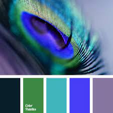 Unlike most birds, peacocks do not derive their colors purely from pigments, but from a combination of pigments and photonic crystals. Colors Of Peacock Feathers Color Palette Ideas