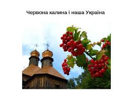 3 322 просмотра 3,3 тыс. Kalina Prezentaciya Z Rizne