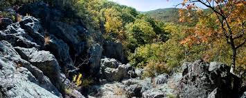 Explore an array of taum sauk mountain state park vacation rentals, including houses, cabins & more bookable online. Taum Sauk Ozark Trail Association