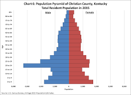 Americas Age Profile Told Through Population Pyramids