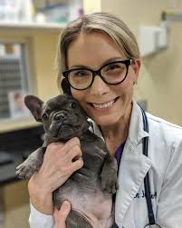 Peachtree Hills Animal Hospital