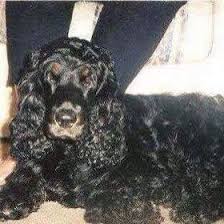 Hari gini masih bengong aja? Kathryn Anne Mabey Kathrynanne0337 Profile Pinterest