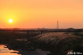 嘉義 八掌溪菅芒花盛開 雪白花海浪漫十月雪 攝影 旅行 拈花惹草 morris outdoor formosa celestial