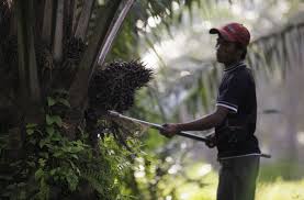 Asia palm oil magazine is the asia's only palm oil technology and industry news magazine. Household Names Nix Malaysian Palm Oil Company Nikkei Asia