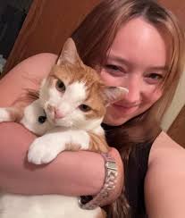 Experienced Veterinarians