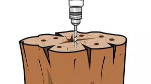 A tree stump killer will remove this unsightly stump for you. 4 Ways To Kill A Tree Stump Wikihow