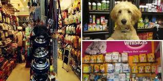 High quality foods are available for nearly all pet types whether you have a dog, cat, reptile, fish, small animal or feathered friend. Best 7 Pet Shops In Chandigarh Check Out Address Phone No More