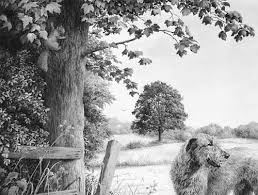 Foreground Midground And Background Trees Landscape Drawings Drawing Lessons Drawings