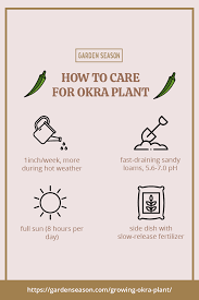 Pin On Easy Vegetables To Grow