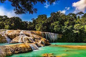 Complete with thundering waterfalls and thick forests, you'll love sierra gorda. The Best Mexico Waterfalls Mexico Holiday