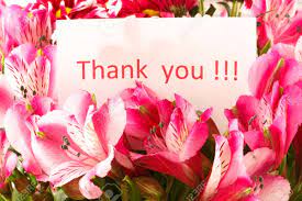 Thank you cards show that you put extra effort into expressing your gratitude. Brief Thank You On The Background Of A Flower Stock Photo Picture And Royalty Free Image Image 11067946