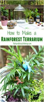 The Best Rainforest Activities For Kids Theme Natural Beach Living Rainforest Activities Habitat Activities Ecosystem Activities