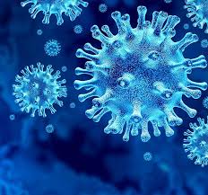 It was first identified in december 2019 in wuhan,. Coronavirus 101 Your Questions Answered Henry Ford Livewell