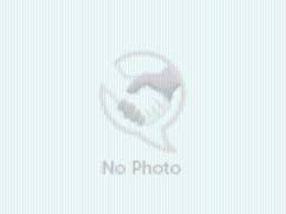 Craigslist Motorcycles Ny Skien