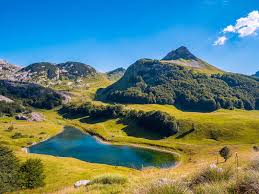 Nacionalni park sutjeska je najstariji i najveći nacionalni park u bosni i hercegovini koji je najvećom površinom prekriven šumom, dok ostalu površinu krase pašnjaci, livade i goleti. Sutjeska National Park Must See Spots