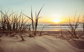 See more ideas about aesthetic wallpapers, sky aesthetic, sunset wallpaper. 80 000 Best Beach Sunset Photos 100 Free Download Pexels Stock Photos