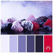 Color Inspiration Frozen Berries Devin Rajaram Designerdev Thank You For Sharing This Beau Color Inspiration Office Color Schemes Color Schemes Design