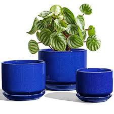 Maybe you would like to learn more about one of these? Le Tauci Indoor Plant Pots With Drainage Holes And Saucers 6 6 In 2021 Large Flower Pots Indoor Plant Pots Flower Planters