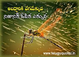 Top Saying Telugu Quotes On Life With Nice Images National Geographic Photography National Geographic Photo Contest Photography Contests