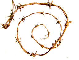 Here are a few interest. Understanding The Downward Spiral Nin Mental Health