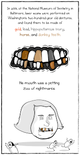 Contrary to popular myth, george washington did not have wooden teeth. You Re Not Going To Believe What I M About To Tell You The Oatmeal