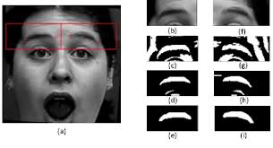Eyebrow corner localization, (a) rectangles showing search ROI and plus... 