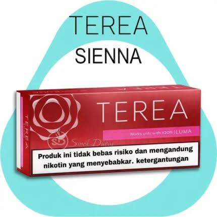 IQOS TEREA AMBER By Uzbekistan In Dubai