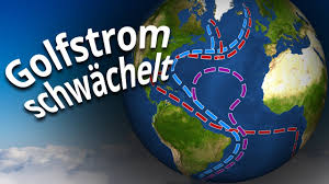They get in the gulf stream. Golfstrom Schwacht Sich Ab So Fatal Sind Die Folgen Youtube