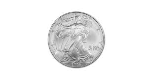 Image result for Arctic Silver 2006 1 Series