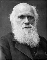 Darwinmania!