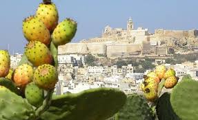 Gozo Cittadella Alain Salvary Jpg 625 382