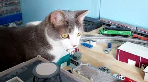 Cat Proofing Your Train Room Model Railroad Hobbyist Magazine Having Fun With Model Trains Instant Access To Model Railway Resou Cat Proofing Train Cats