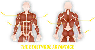 Well, there are beasts in all 50 states. Beastmode Shredding How To Beast
