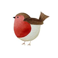 Cute Little Watercolour Robin Framed Art Christmas Pebble Art Robin Drawing Christmas Drawing Cute bullfinch christmas robin bird. cute little watercolour robin framed