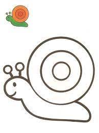 Caracoles11 Caracoles Dibujo Dibujos Para Colorear Dibujos Colorear Ninos