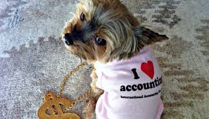 The business runs on accounts. Happy International Accounting Day By Vanessa Gorman Linkedin