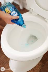 How To Unclog A Toilet Without A Plunger Diy Cleaning Products Cleaning Recipes House Cleaning Tips