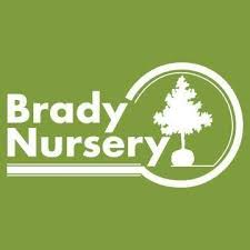 Maybe you would like to learn more about one of these? Brady Nursery Home Facebook