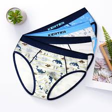 Comprar Roupas Dos Meninos 4pcs Lot Kids Boxers 4t Children Underwear Briefs Triangle Panties Soft Cotton Cartoon Underpants Teenager Boys Shorts Clothing