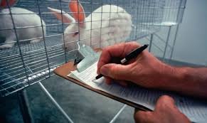 Ne place să le avem alături pentru companie și ajutor 1. StiaÅ£i CÄ Pe 24 Aprilie Este MarcatÄ Ziua MondialÄ A ProtecÅ£iei Animalelor De Laborator