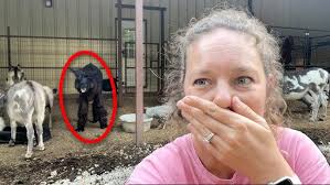 Really Jerry? What is Wrong with YOU?!