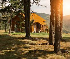Maybe you would like to learn more about one of these? The Best Cabin Rentals In New Jersey Jersey Family Fun
