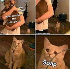 Large And In Charge Cat Memes Really Funny Memes Funny Relatable Memes Funny Memes