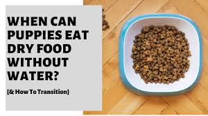 In order to prevent this,. When Can Puppies Eat Dry Food Without Water How To Transition