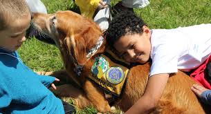 Therapy Dogs Offer Comfort and Connection
