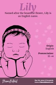Lily Name Meaning Origin Popularity Girl Names Like Lily Mama Natural Names With Meaning Baby Girl Names Elegant Girl Names