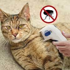 Free Shipping Order Over 80 Buy 3 Use 8 Off Code 8off No More Flea Pesticides Or Chemicals This Electric Flea Comb Shocks F Fleas Dog Cat Head Lice Comb