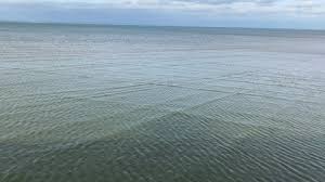 And unlike that normal pattern, these waves are created by the simple movement. Square Waves Crashing Stock Video Footage 4k And Hd Video Clips Shutterstock